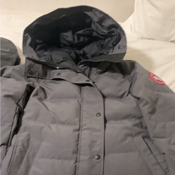 Canada goose